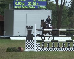 jumper Louis 78 (Oldenburg, 1996, from Levantos I)