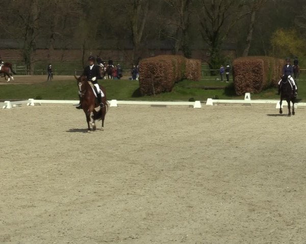 Reitturnier Münster-Handorf 2021