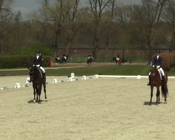 Reitturnier Münster-Handorf 2021