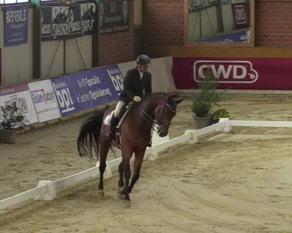 Steinhagen Classics 2021