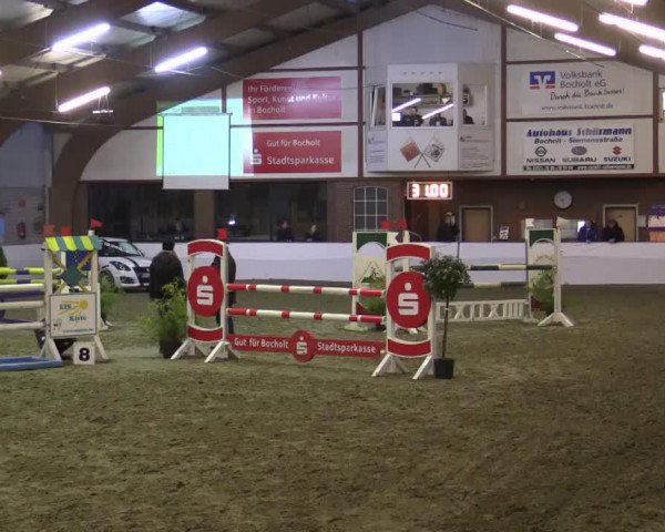 jumper Lupus in Fabula 2 (Hanoverian, 2005, from Likoto xx)