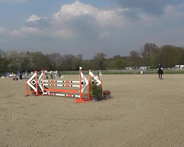 Reitturnier Langenfeld - Gut Langfort 2021