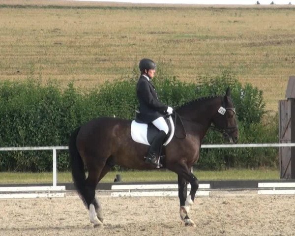 dressage horse Rastie (Latvian Warmblood, 2000)