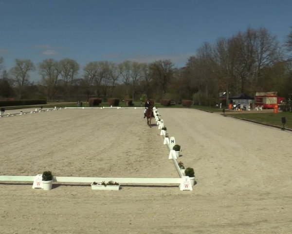 Reitturnier Münster-Handorf 2021