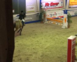 jumper Le Champ 12 (Hanoverian, 2002, from Lordanos)