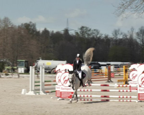 Reitturnier Handorf 2021