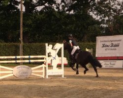 dressage horse Pegasus 297 (Westphalian, 1998, from Potsdam)