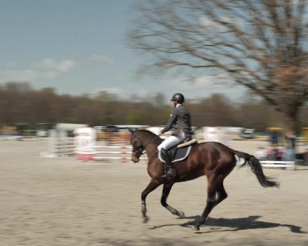 Reitturnier Handorf 2021