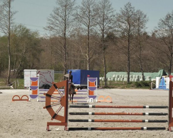 Reitturnier Handorf 2021