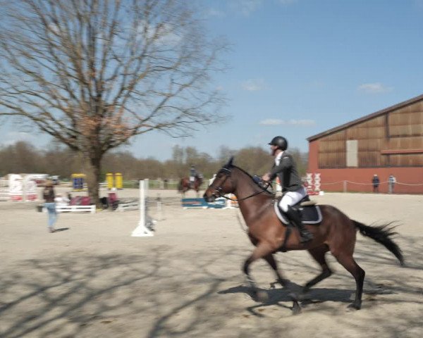 Reitturnier Handorf 2021