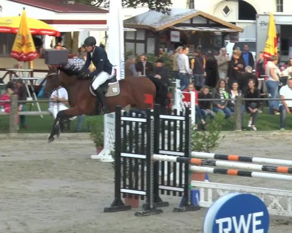 jumper Raja 91 (Hanoverian, 2000, from Regazzoni)