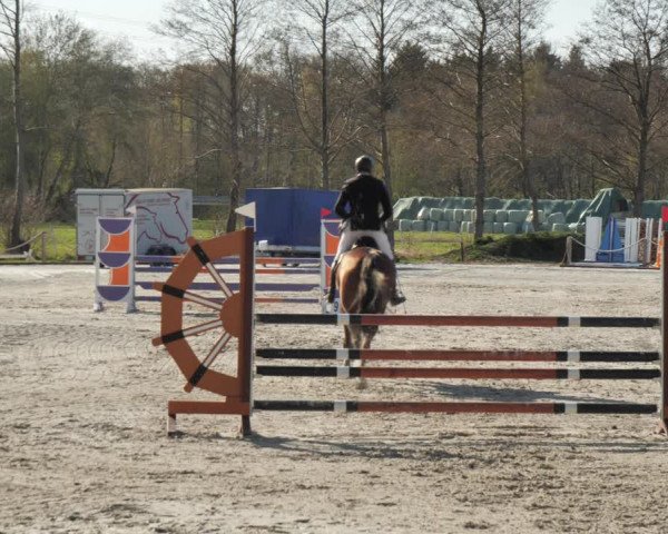 Reitturnier Handorf 2021