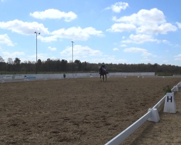 Reitturnier Bremervörde/Reitsportzentrum 2021