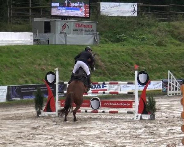 Springpferd Ashley's Basti (Oldenburger, 2000, von Alabaster)