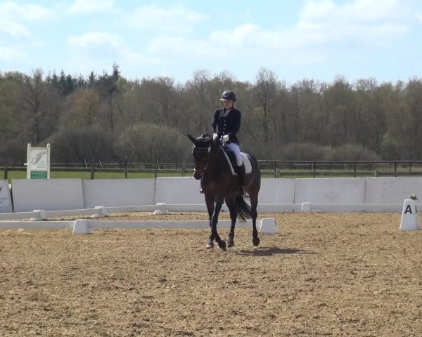 Reitturnier Bremervörde/Reitsportzentrum 2021
