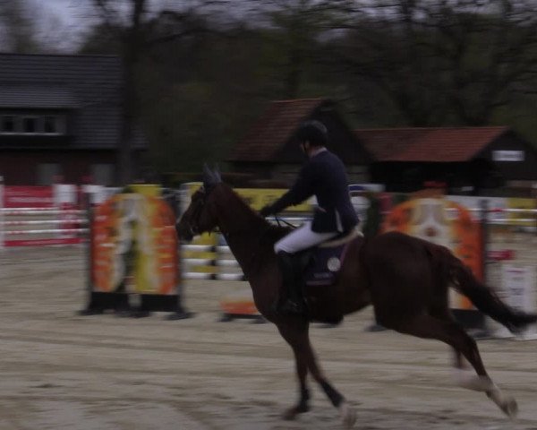 Reitturnier Münster-Handorf 2021