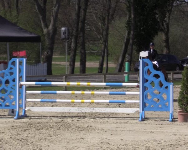 Reitturnier Münster-Handorf 2021
