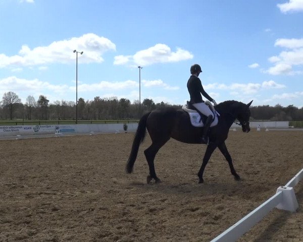 Reitturnier Bremervörde/Reitsportzentrum 2021
