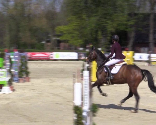 Reitturnier Münster-Handorf 2021