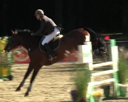jumper Eternity 45 (Hanoverian, 2004, from El Bundy)