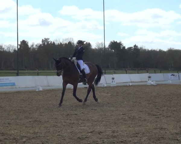 Reitturnier Bremervörde/Reitsportzentrum 2021