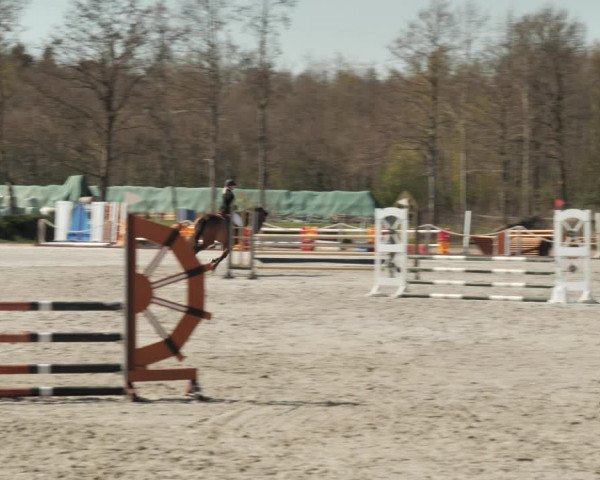 Reitturnier Handorf 2021