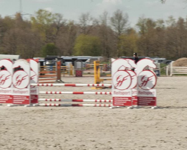 Reitturnier Handorf 2021