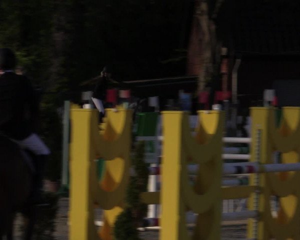 Reitturnier Münster-Handorf 2021