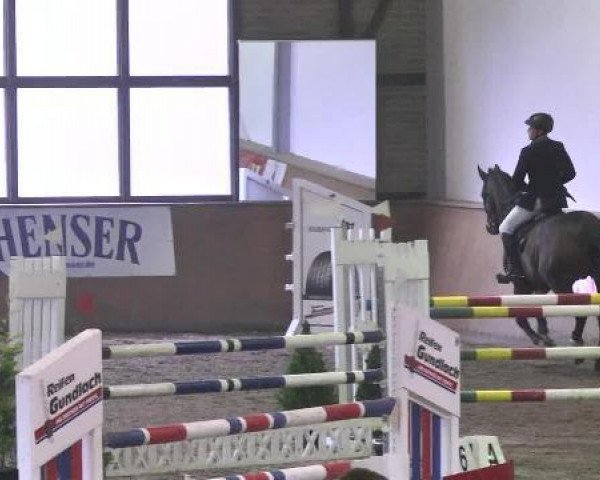 jumper Celebration (Sachse, 2002, from Competent)