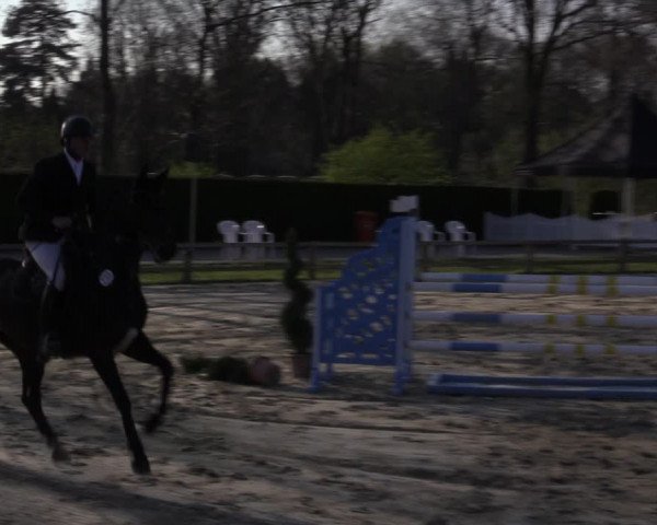 Reitturnier Münster-Handorf 2021