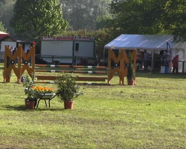 Springpferd Narwik 7 (Lettisches Warmblut, 2002, von Ishor)