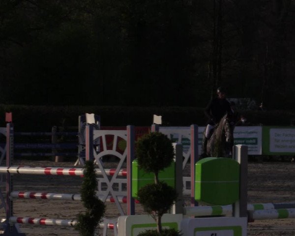 Reitturnier Münster-Handorf 2021