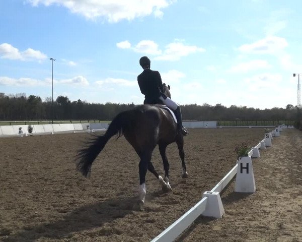 Reitturnier Bremervörde/Reitsportzentrum 2021