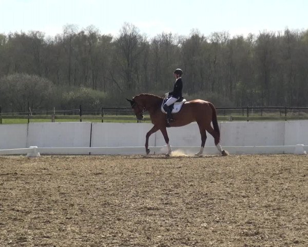 Reitturnier Bremervörde/Reitsportzentrum 2021