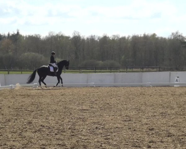 Reitturnier Bremervörde/Reitsportzentrum 2021