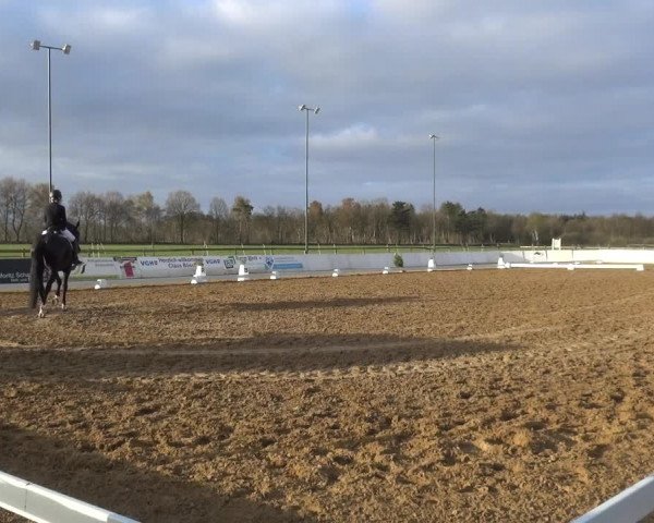 Reitturnier Bremervörde/Reitsportzentrum 2021