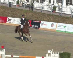 jumper Complete (Danish Warmblood, 1997)