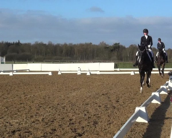 Reitturnier Bremervörde/Reitsportzentrum 2021