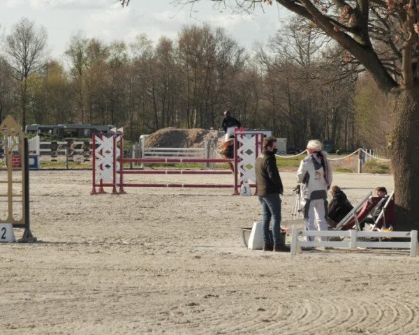 Reitturnier Handorf 2021