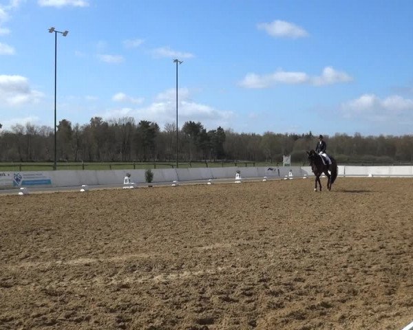 Reitturnier Bremervörde/Reitsportzentrum 2021