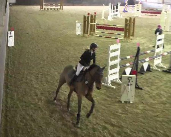 jumper Cassano (Westphalian, 2003, from Conterno Grande)