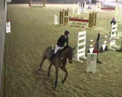 jumper Cassano (Westphalian, 2003, from Conterno Grande)