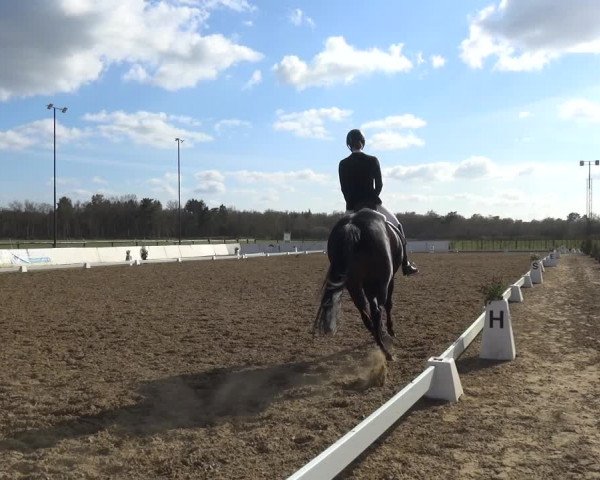 Reitturnier Bremervörde/Reitsportzentrum 2021
