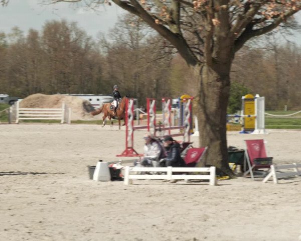 Reitturnier Handorf 2021