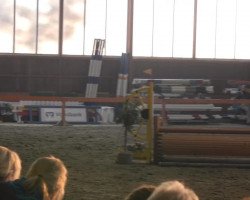 Springpferd Rising in Space (Trakehner, 1998, von Noble Roi xx)