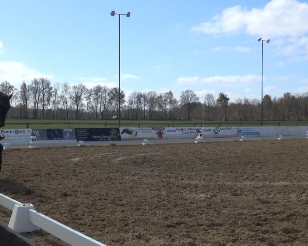 Reitturnier Bremervörde/Reitsportzentrum 2021