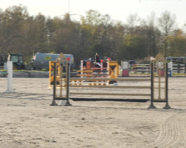 Reitturnier Handorf 2021