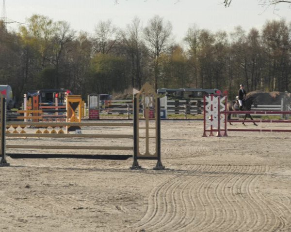 Reitturnier Handorf 2021