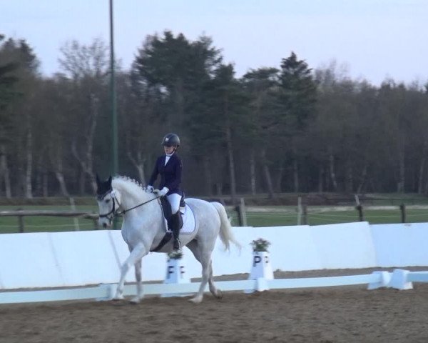 Reitturnier Bremervörde/Reitsportzentrum 2021