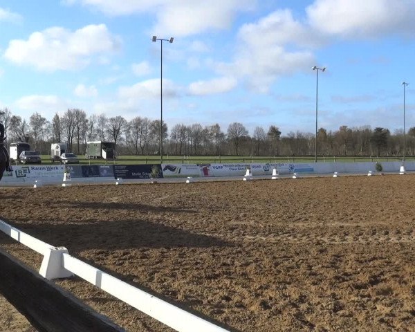 Reitturnier Bremervörde/Reitsportzentrum 2021